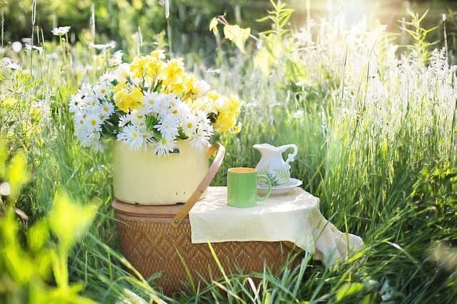Herbal tea on a picnic basket ,outside in garden of daisies