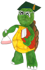 the wise hero tortoise with book in one hand and a beaker with chemical in other hand